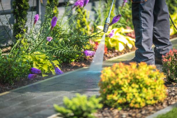 Best Boat and Dock Cleaning  in Savanna, IL