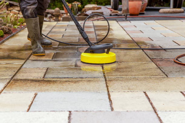 Best Solar Panel Cleaning  in Savanna, IL