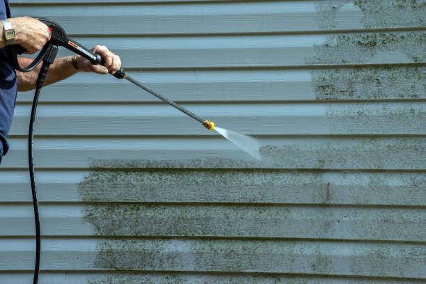 Best Dumpster Area Cleaning  in Savanna, IL